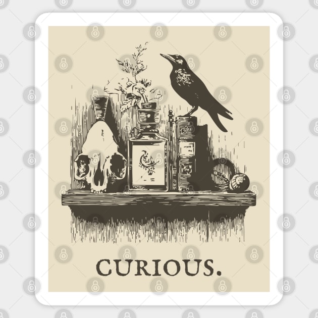 Curious Crow and Cabinet of Curiosities Illustration Sticker by TuncGK